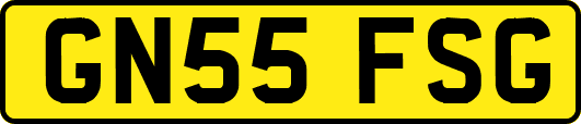 GN55FSG