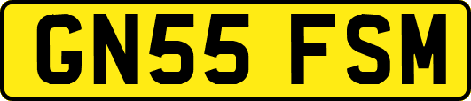 GN55FSM