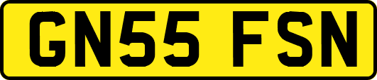 GN55FSN