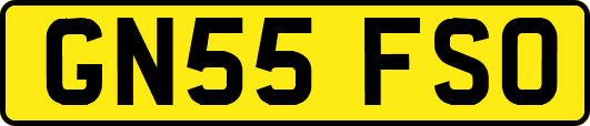 GN55FSO