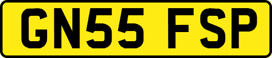 GN55FSP