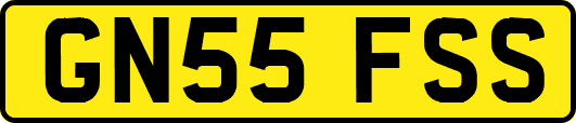 GN55FSS