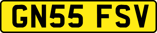 GN55FSV
