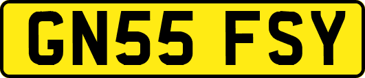 GN55FSY