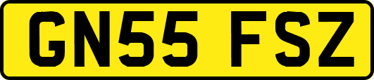 GN55FSZ