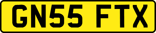 GN55FTX