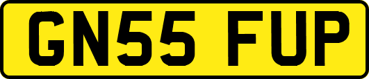 GN55FUP