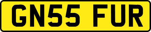 GN55FUR