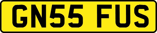 GN55FUS