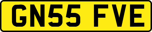 GN55FVE