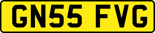 GN55FVG