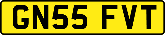 GN55FVT