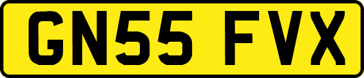 GN55FVX