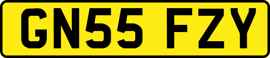 GN55FZY