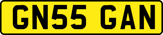 GN55GAN