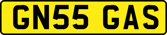 GN55GAS
