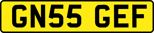 GN55GEF