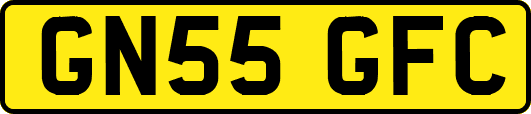 GN55GFC