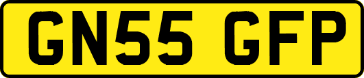 GN55GFP