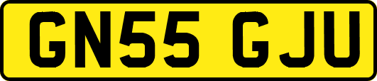 GN55GJU