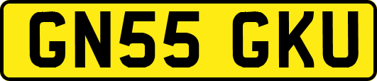 GN55GKU