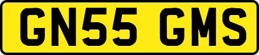 GN55GMS
