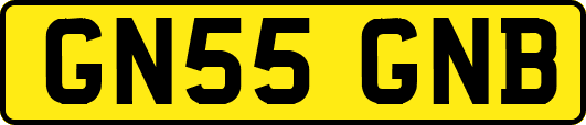 GN55GNB