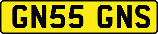 GN55GNS