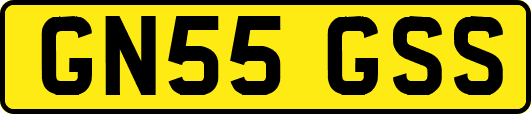 GN55GSS
