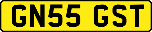 GN55GST
