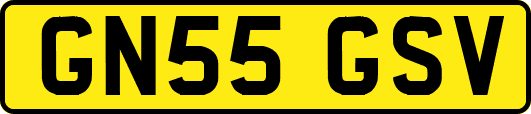 GN55GSV