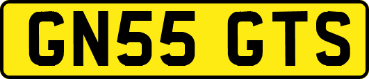 GN55GTS