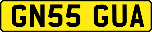 GN55GUA