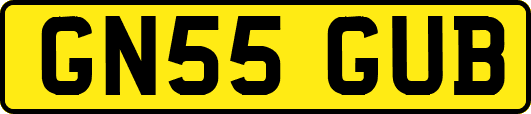 GN55GUB