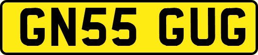 GN55GUG