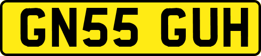 GN55GUH