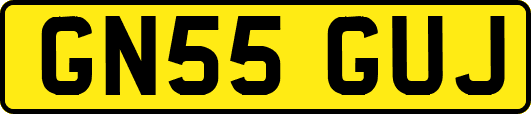 GN55GUJ