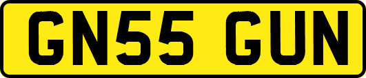GN55GUN