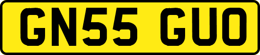 GN55GUO
