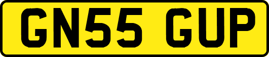 GN55GUP