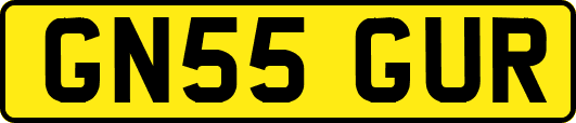 GN55GUR