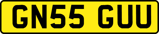 GN55GUU
