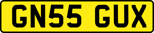 GN55GUX