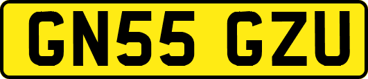 GN55GZU