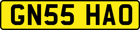 GN55HAO