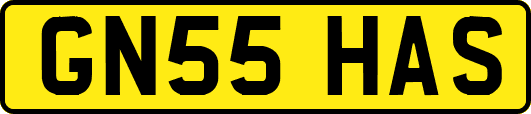 GN55HAS