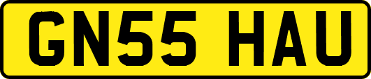 GN55HAU