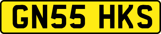 GN55HKS