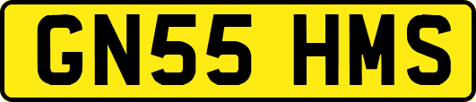 GN55HMS