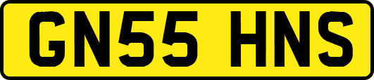 GN55HNS